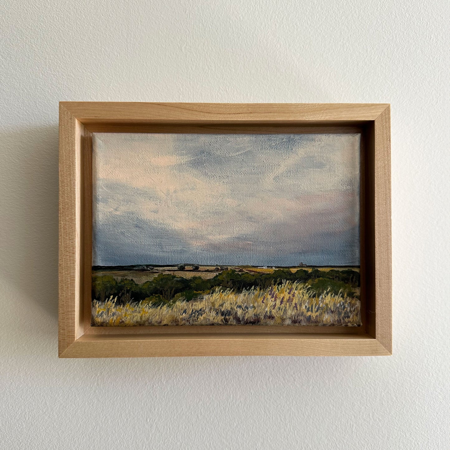 "Crissy's View" Framed Original Acrylic Painting