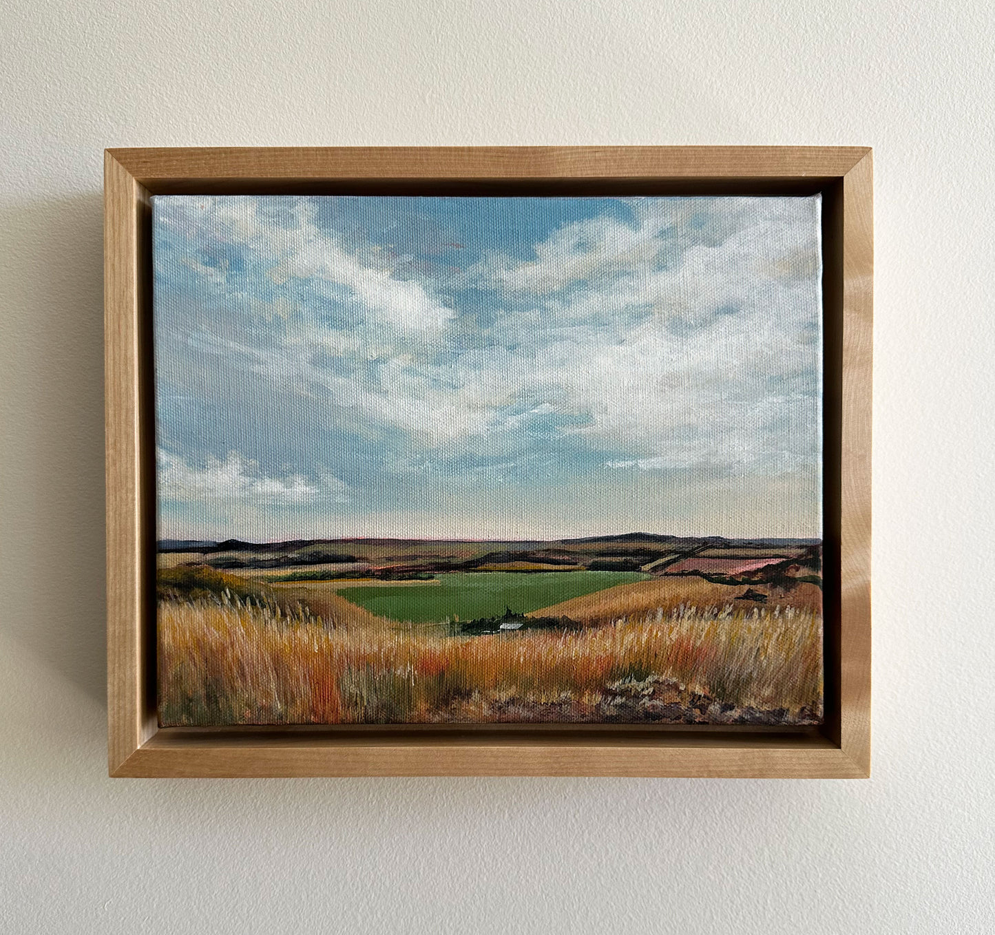 "Coronado" Framed Original Acrylic Painting