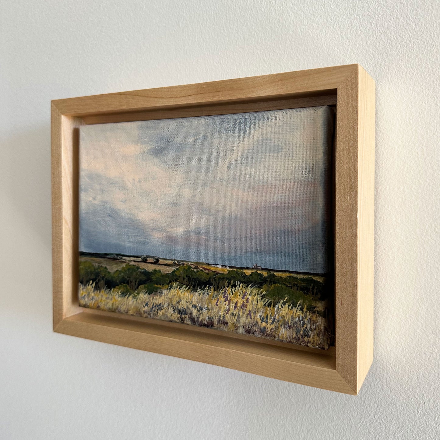 "Crissy's View" Framed Original Acrylic Painting